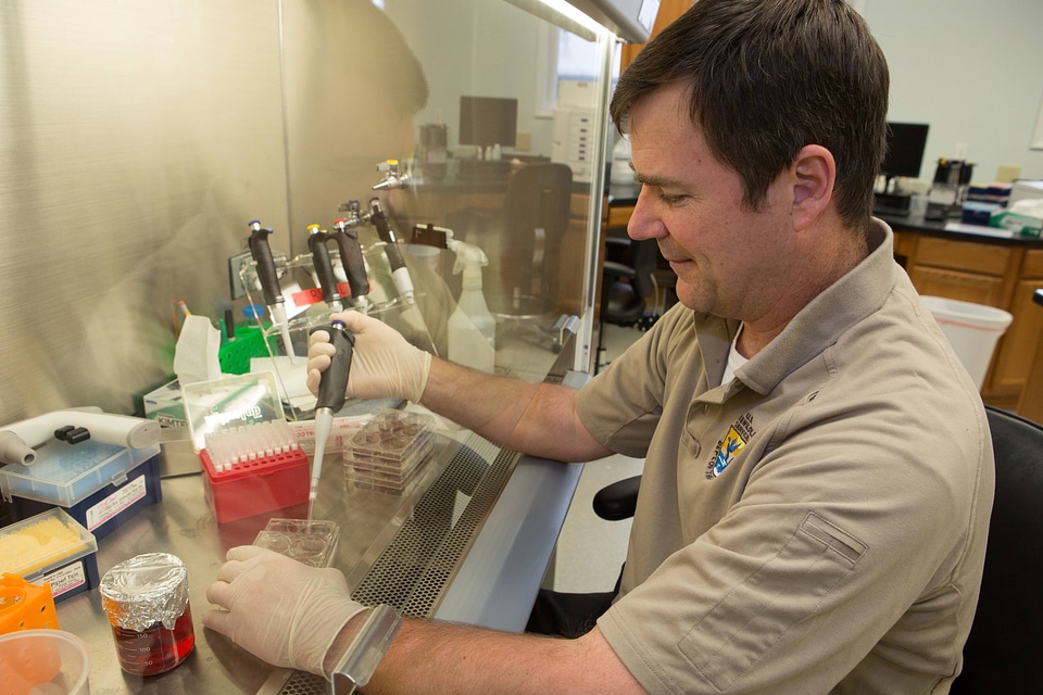 FWS biologist propagates freshwater mussels in a labratory-1