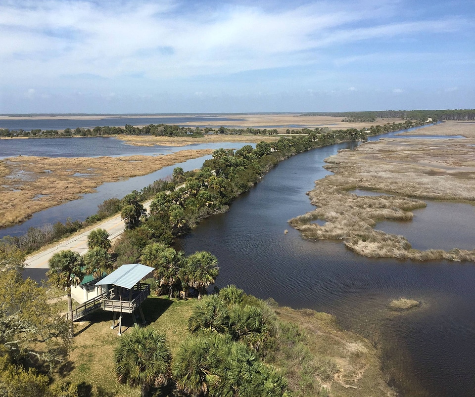 View of St. Marks Refuge from lighthouse