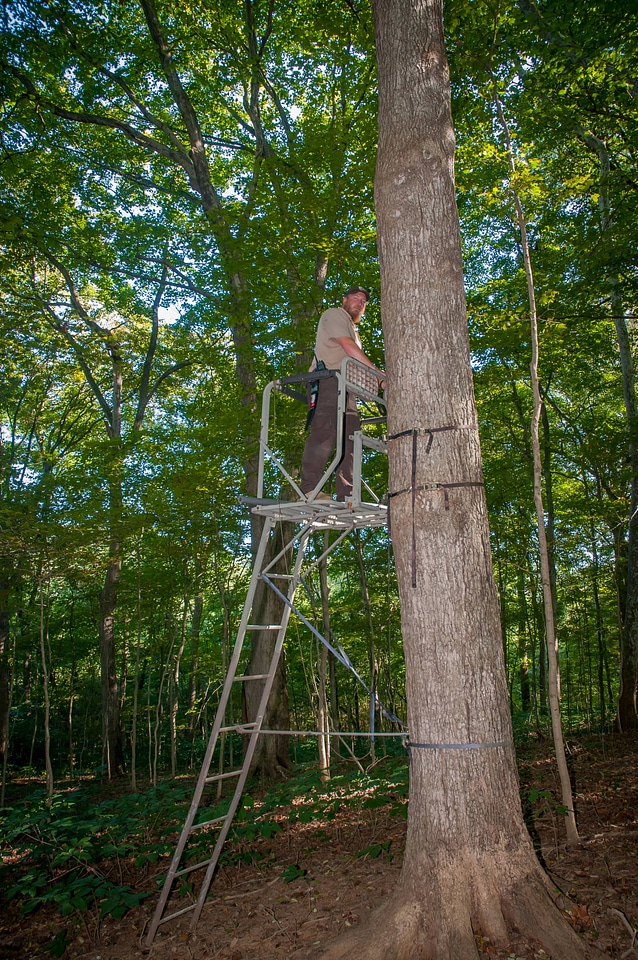 NCTC land management specialist inspecting deer stand for safety-1