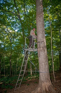 NCTC land management specialist inspecting deer stand for safety-1
