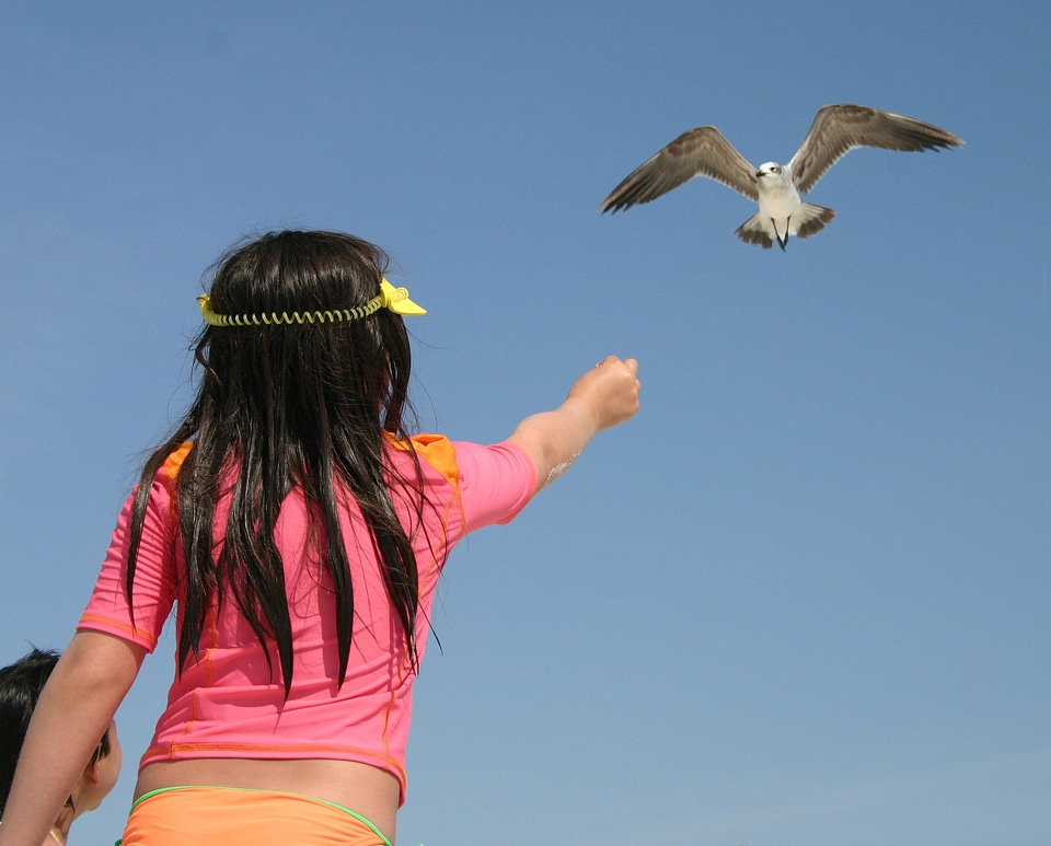 Child beach sea