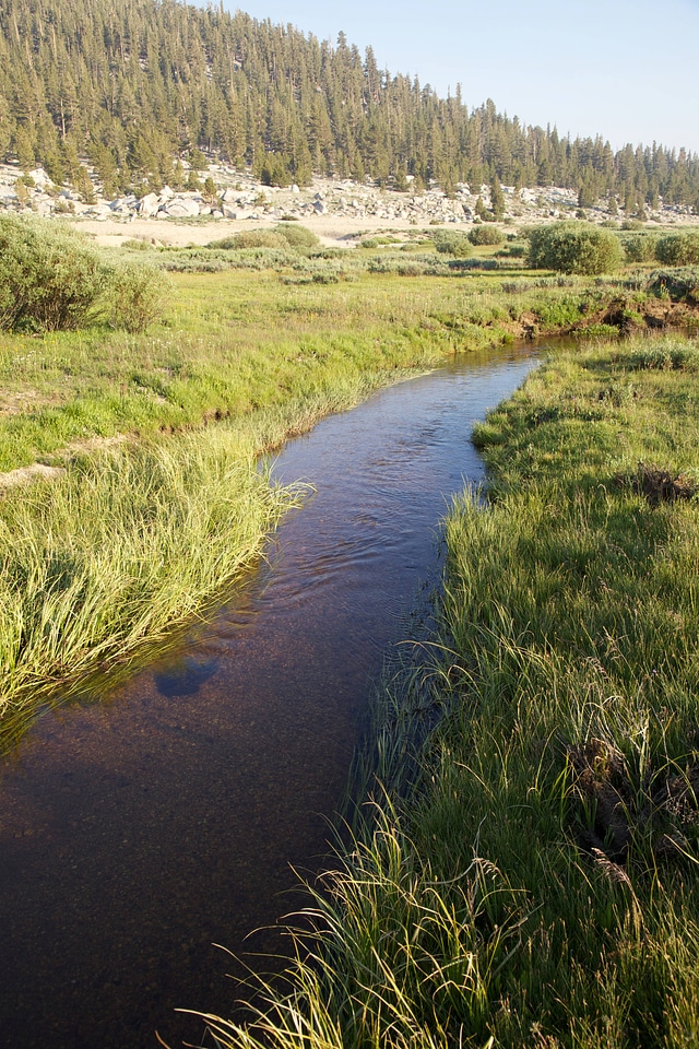 Stream through Sierra Nevada high alpine meadow-1