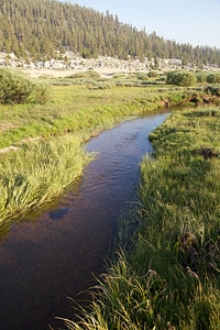 Stream through Sierra Nevada high alpine meadow-1