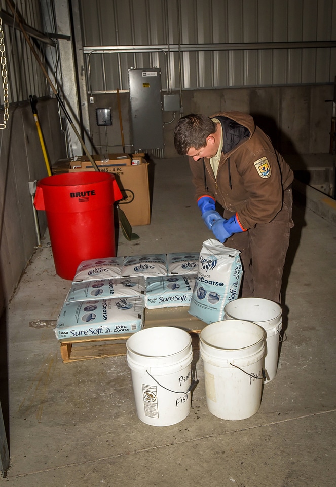 FWS employee treats water for truck livewells-1