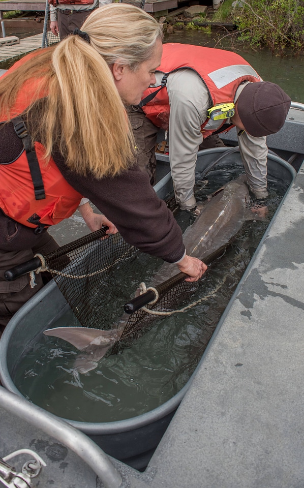 USFWS Fisheries workers-1