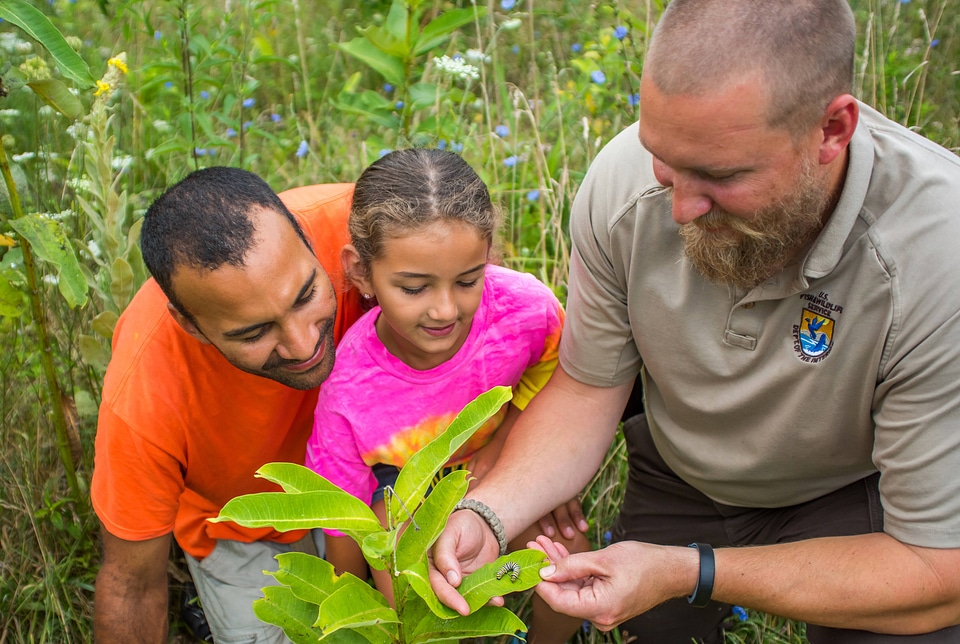 FWS employee shows a young girl (and dad) a Monarch caterpillar-1