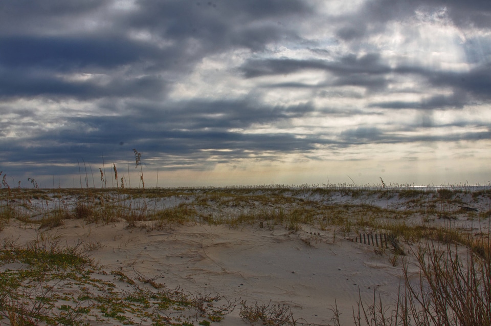Sand dunes seascape beach