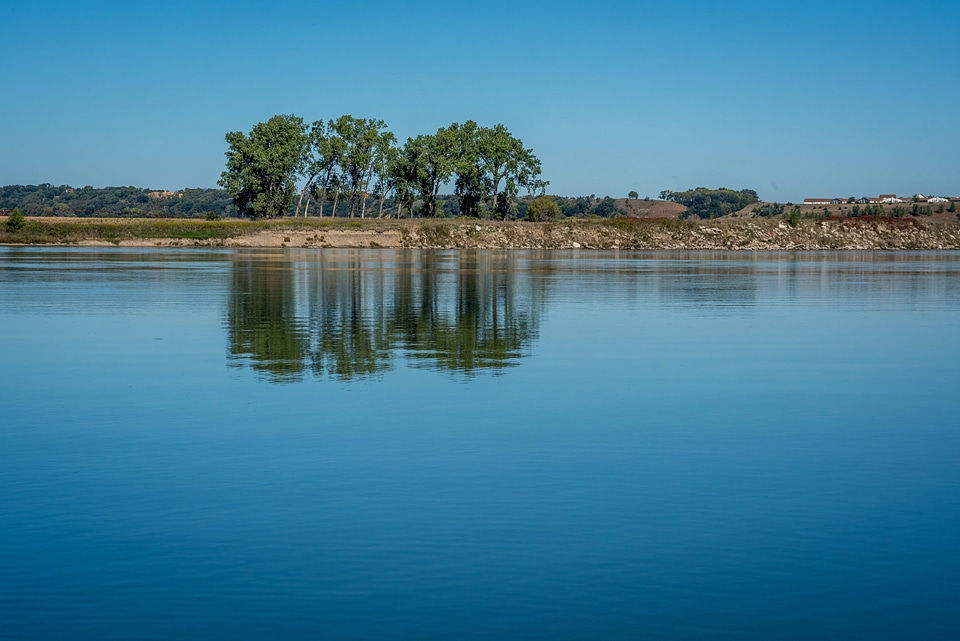 Cottonwood trees along Missouri River near Yankton, South Dakota