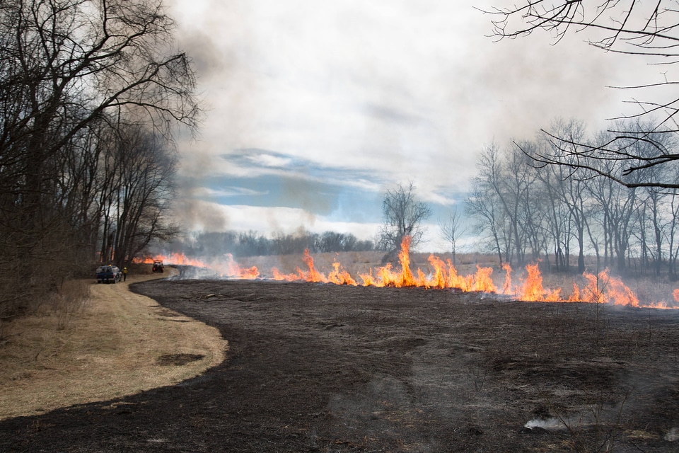 Prescribed burn at NCTC -1