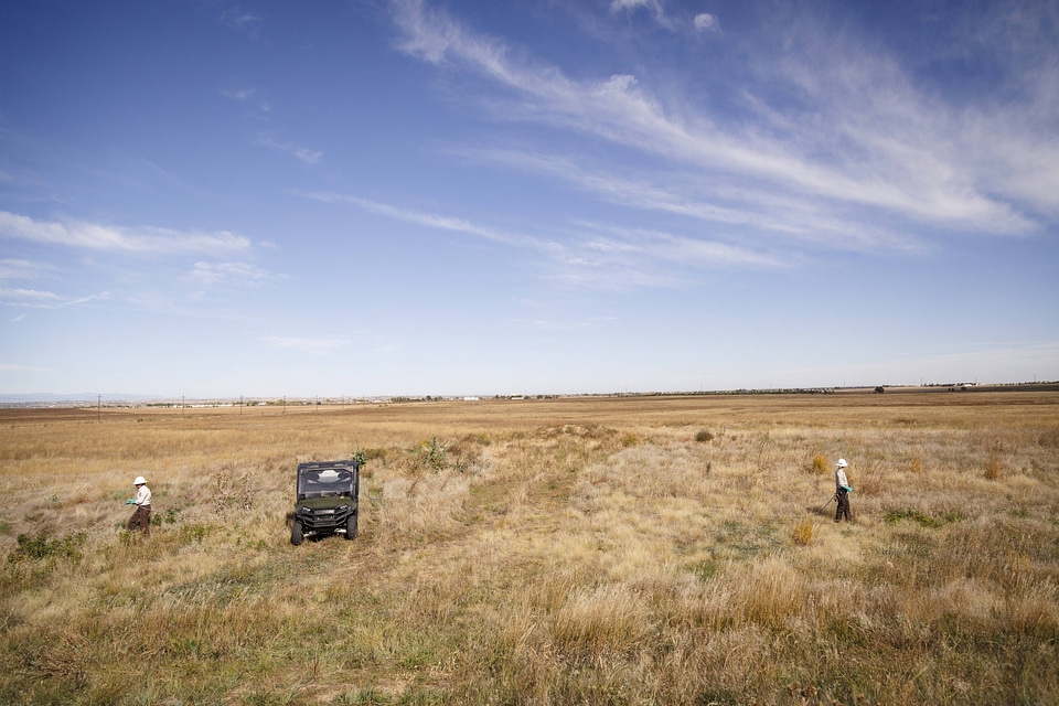Employees spraying for invasive plants