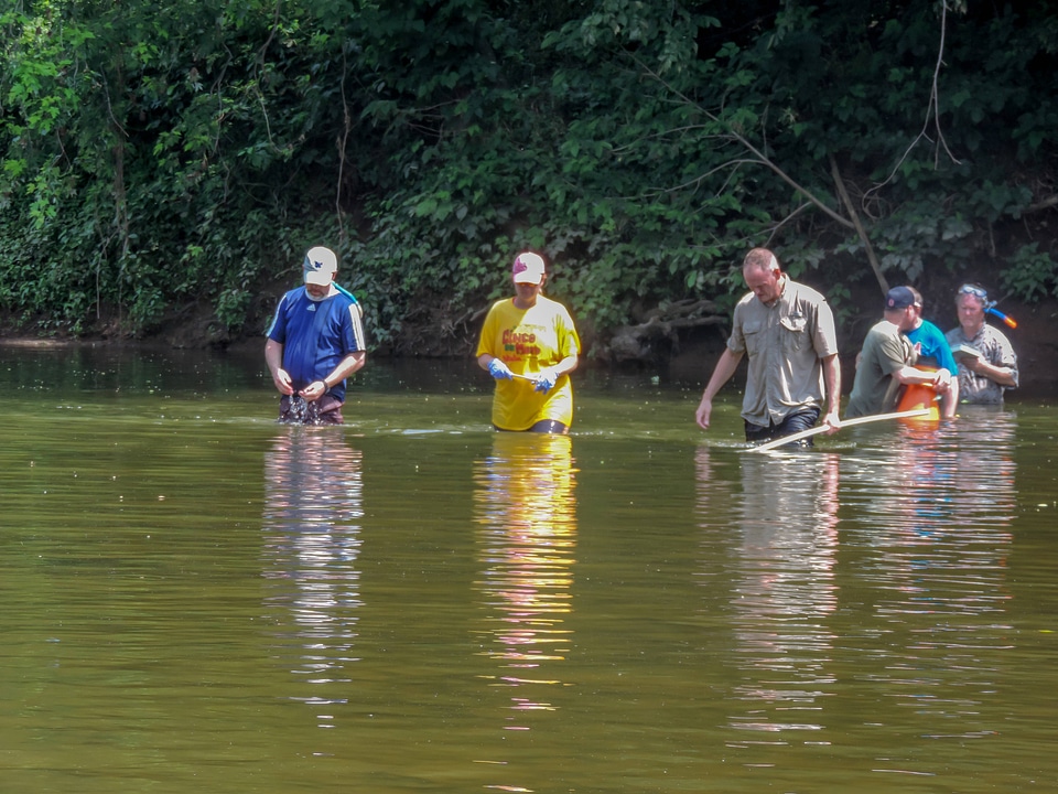 Students laying underwater transects-5