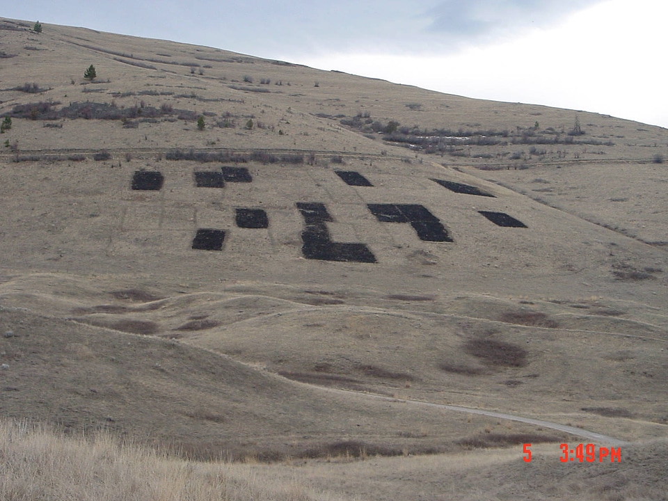 Plots after burning