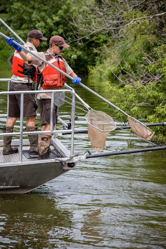 Service personnel net Silver Carp-1