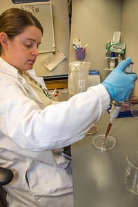 Worker doing in-vitro culture of freshwater mussels-1