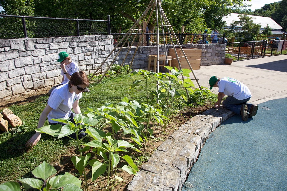 Construction of outdoor classroom-1