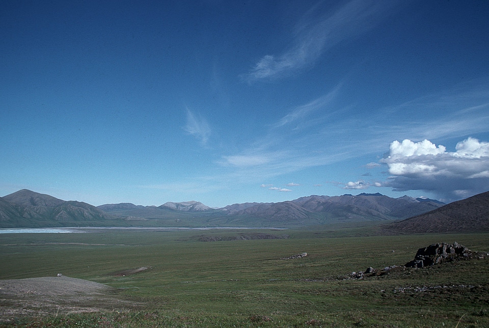 Kongakut River in Summer