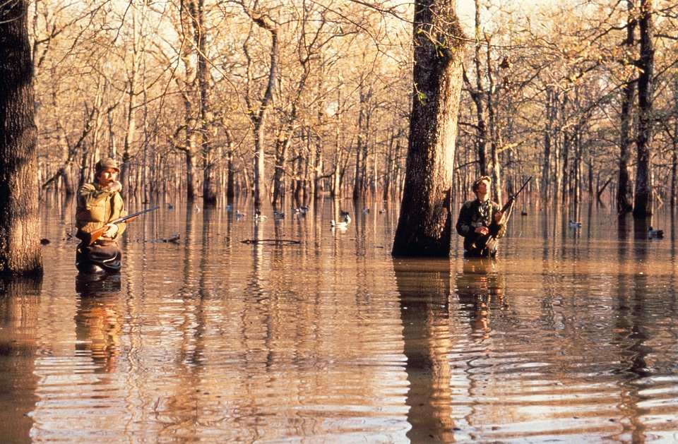 Hunters in Flooded Timber