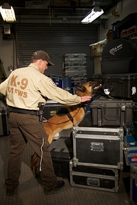 Law enforcement with K-9-1