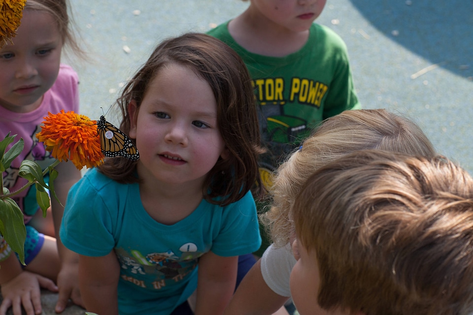 Monarch and children-1