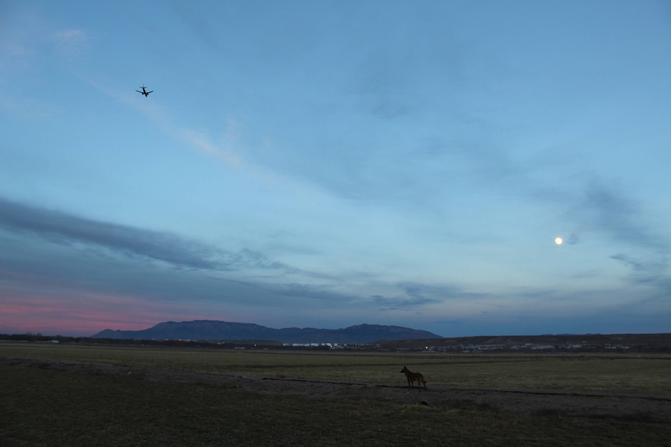 Valle de Oro NWR at dusk with the moon in the sky 