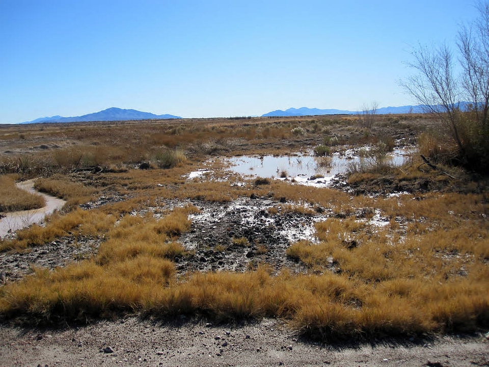 Flooding in Ash Meadows National Wildlife Refuge