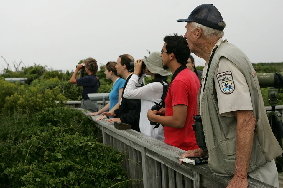 Wildlife viewing-4
