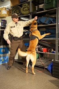 Law enforcement with K-9-5