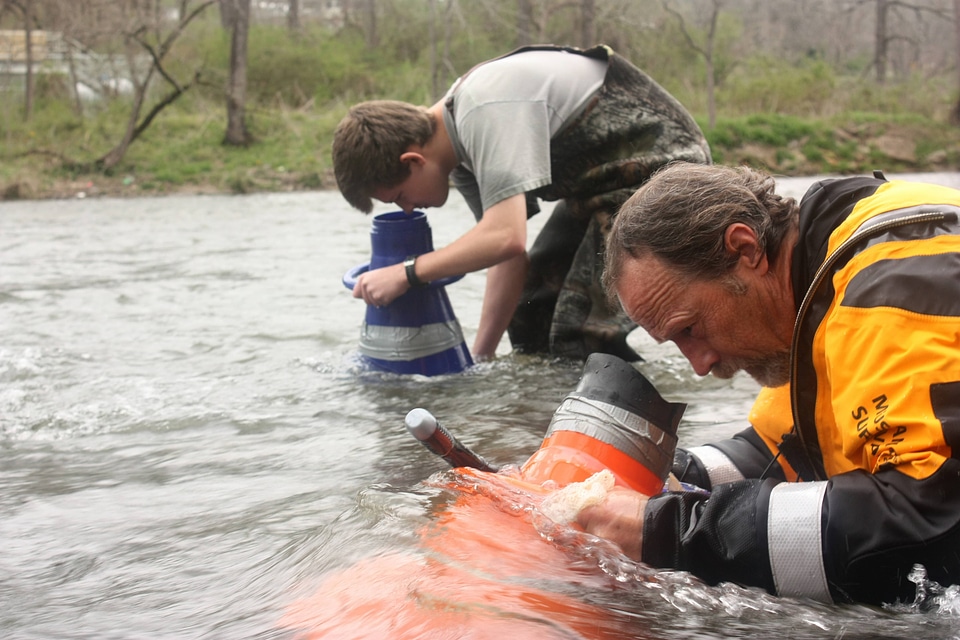 Searching for mussels