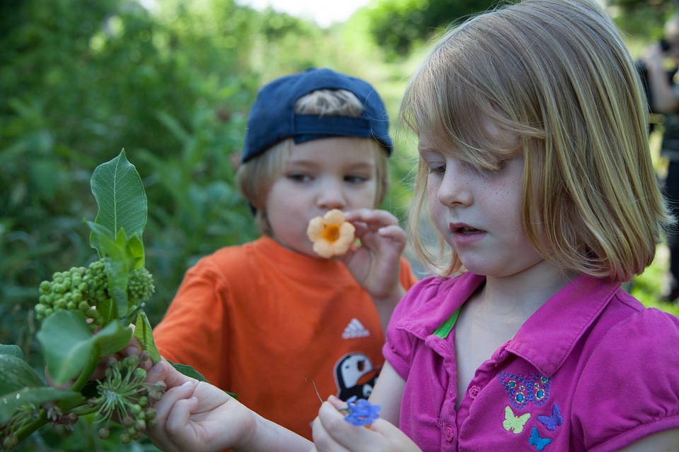 Children pick wildflowers-3