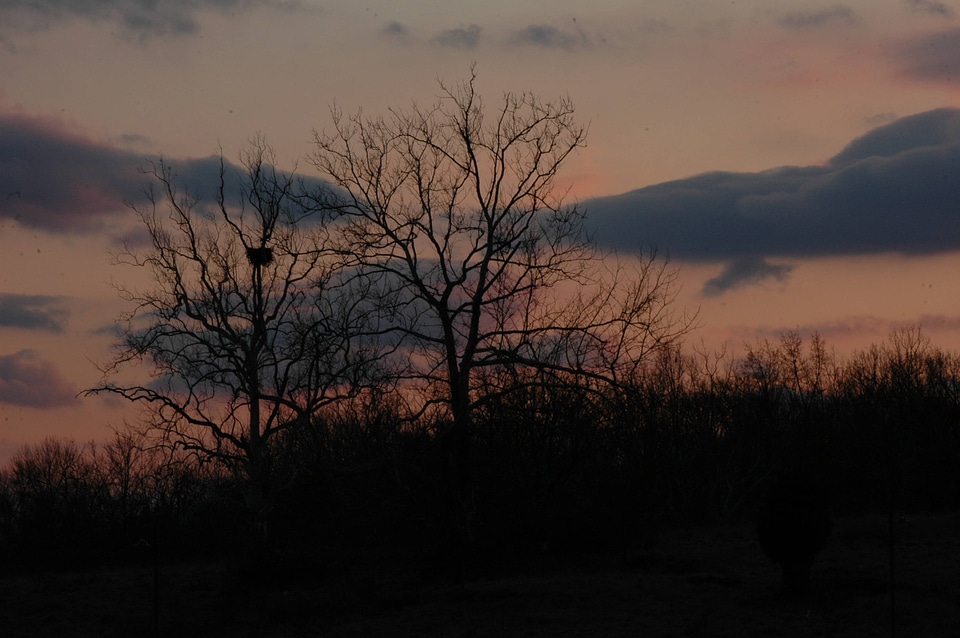 NCTC eagles nest at night-1
