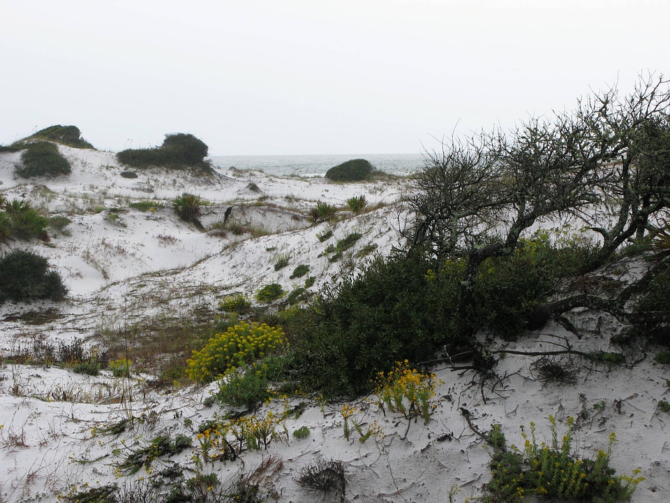 Dunes at Deer Lake State Park-2