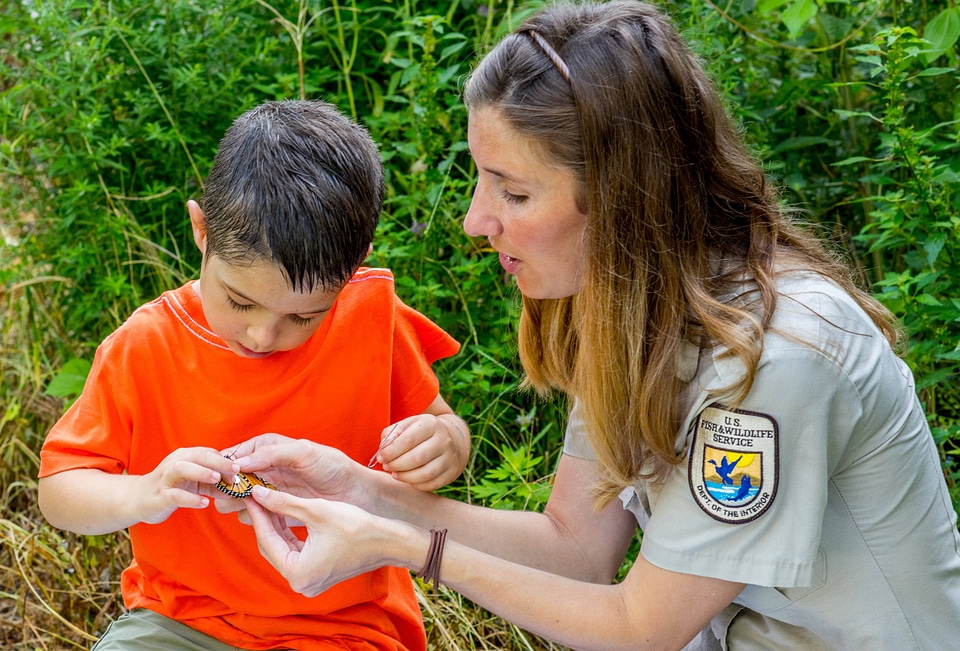 FWS employee and little boy look at tagged monarch-1
