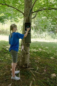 Student Echolocation Researcher-1