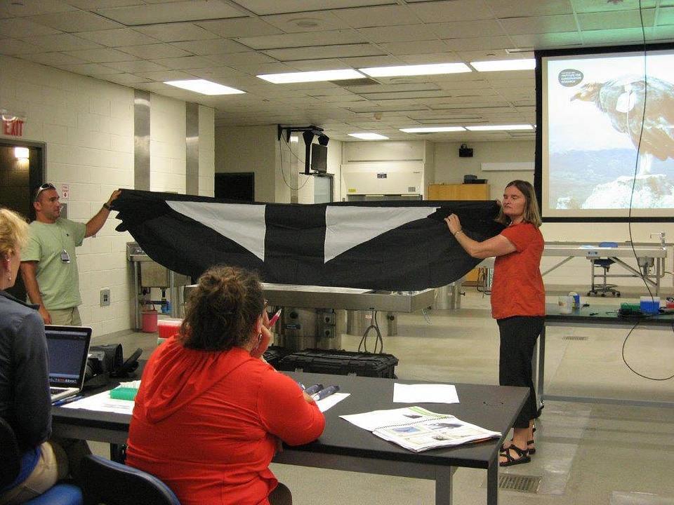 San Diego Zoo Institute for Conservation Research in the Science laboratory-1