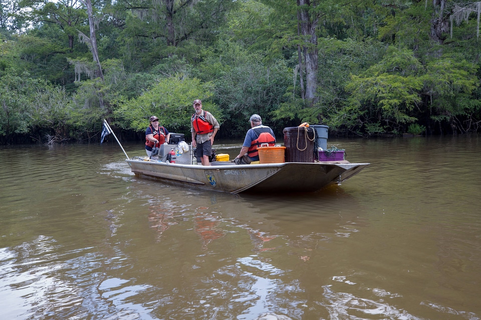 Biologists in boat study Gulf sturgeon in river-1