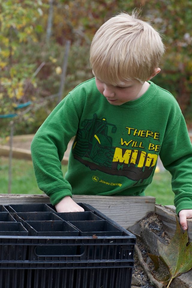 Planting acorns-1