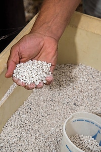 Water treatment system, oyster shell