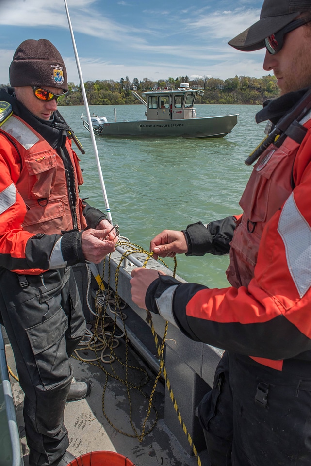 USFWS Fisheries crew baiting lines for lake sturgeon-4