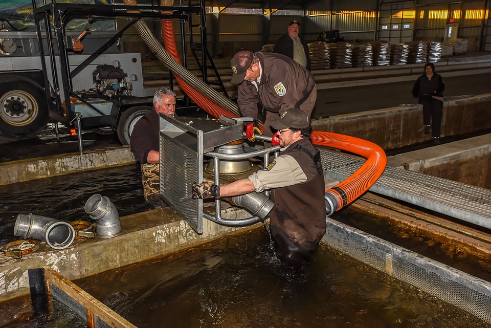 FWS employees prepare fish pump to load fish onto hatchery-7