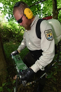 NCTC land management specialist uses motorized injector to treat ash trees-2