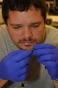 Student identifies fish-3