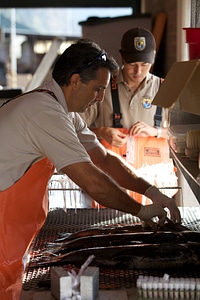 Service employees working at Spring Creek National Fish Hatchery-4
