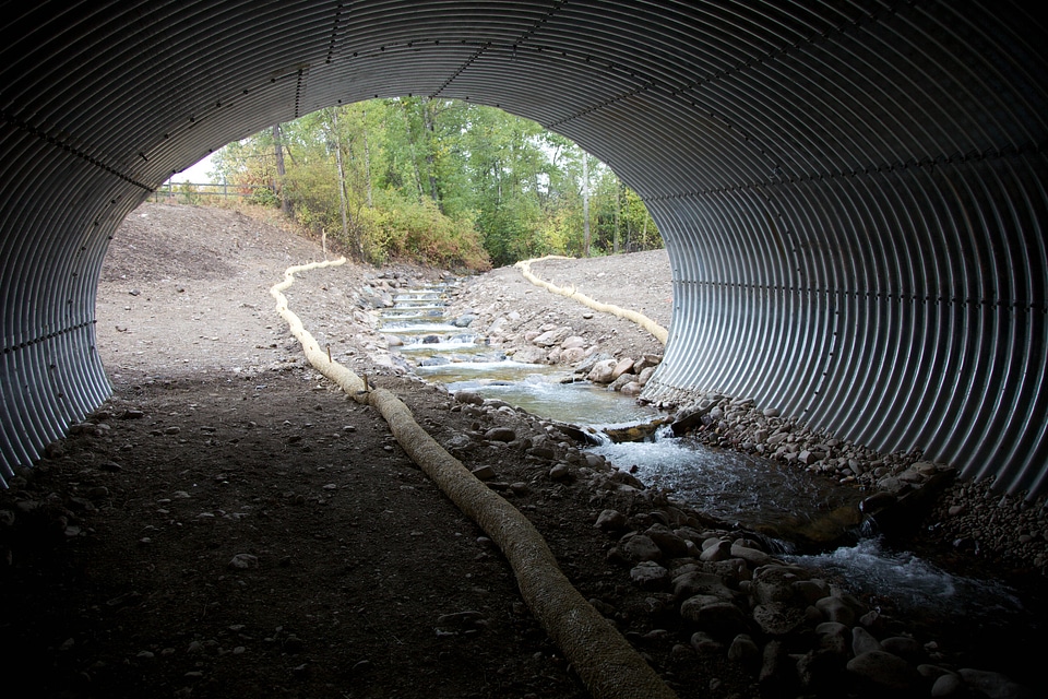 Wildlife corridor-2