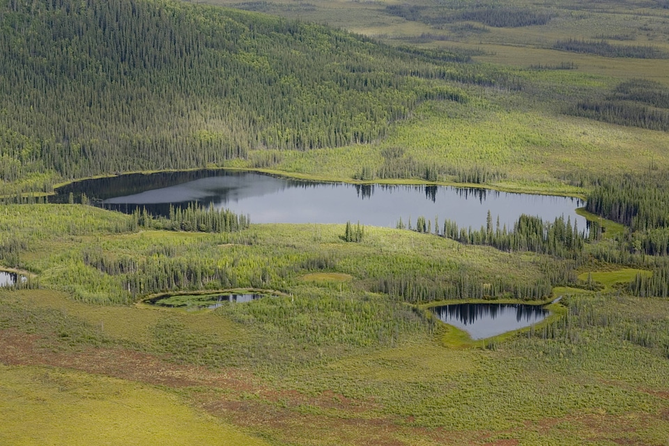 Aerial shot of lake and ponds in Tetlin National Wildlife Refuge