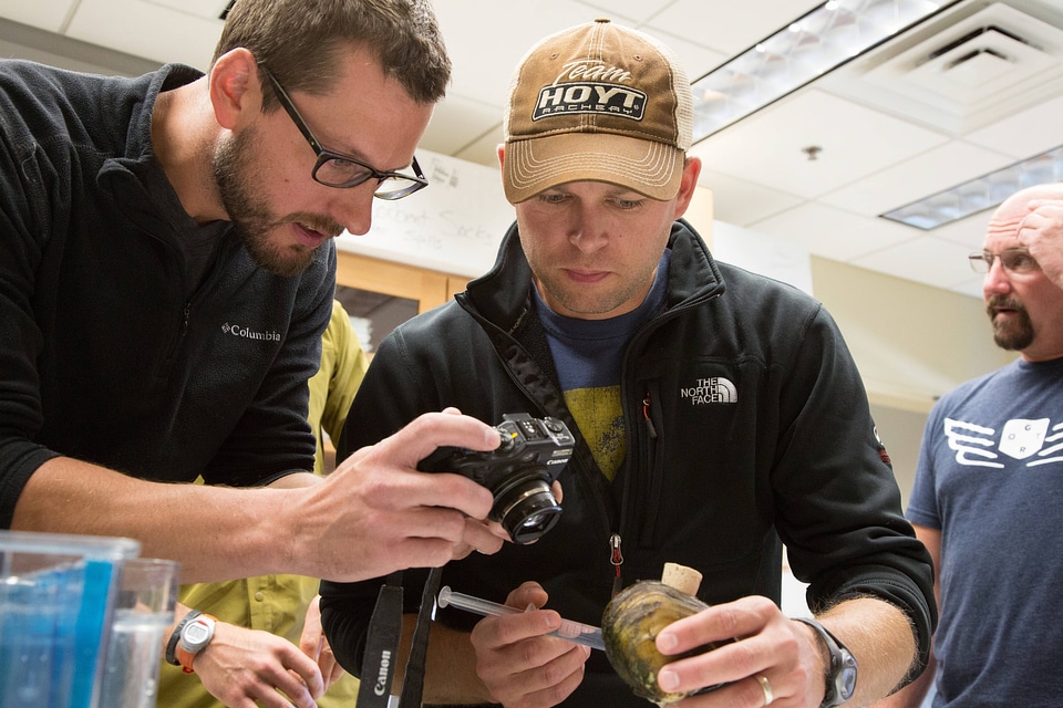 Biologists learn how to grow freshwater mussels-1