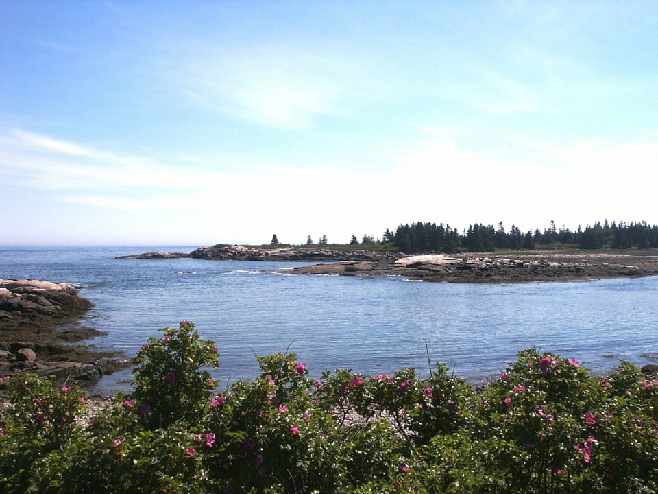 Maine's rocky coast
