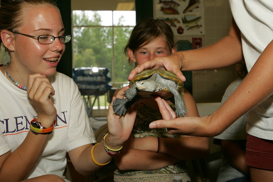 Young girls learn about turtles