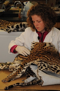 Ashland Forensics Lab-1