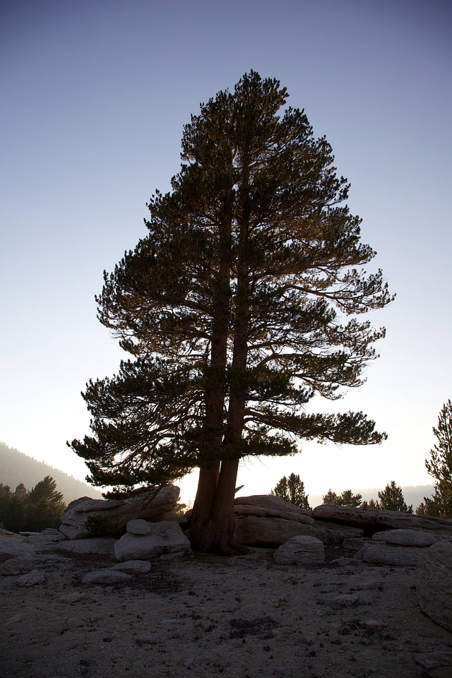 Dusk in the Sierra's-1