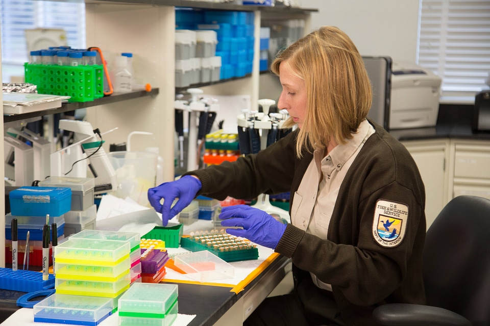 Geneticist at work in laboratory-1